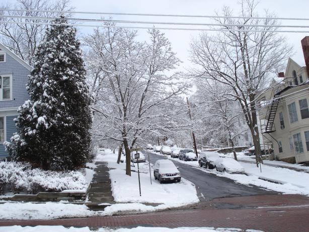 Cold Snow !!